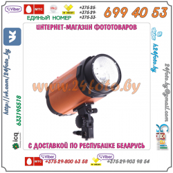 Студийная вспышка Godox Smart 300SDI
