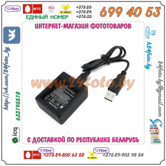 Зарядное устройство для аккумулятора AZ13-1 Xiaomi YI (USB)
