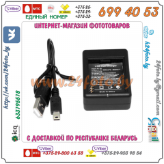 Зарядное устройство для аккумулятора AZ13-1 Xiaomi YI (USB)