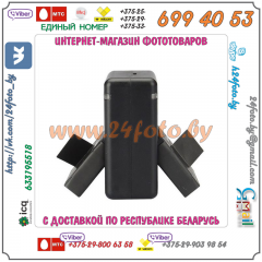 Зарядное устройство для аккумулятора AZ13-1 Xiaomi YI (USB)