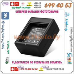 Зарядное устройство для аккумулятора AZ16-1 Xiaomi YI 4K (USB)
