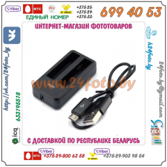 Зарядное устройство для двух аккумуляторов AZ13-1 Xiaomi YI (USB)