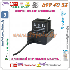 Зарядное устройство для двух аккумуляторов Xiaomi AZ16-1 (USB)