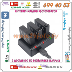 Зарядное устройство для трех аккумуляторов AZ13-1 Xiaomi YI (USB)