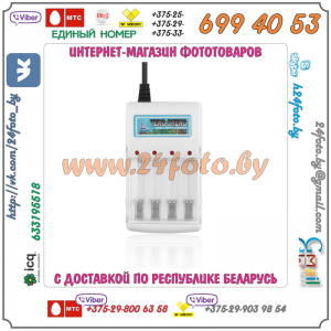 Зарядное устройство Chuang Zhi TS-198 для Ni-MH аккумуляторов типа AA, AAA (LR-6, LR-3)