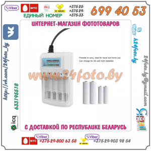 Зарядное устройство Chuang Zhi TS-198 для Ni-MH аккумуляторов типа AA, AAA (LR-6, LR-3)