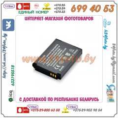 Аккумулятор DSTE SLB-10A 1300mAh для камер Samsung: L100, L110, L200, L210, L310, L313, SL102, SL202, M100, M110, M310, T100, PL60, PL65, ES55, WB500, HZ15