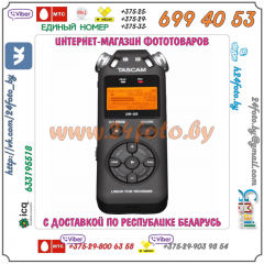 Портативный рекордер TASCAM DR-05 (version 2)