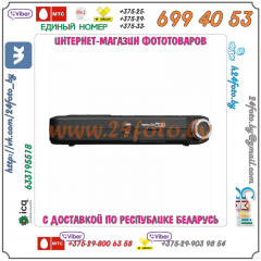 Портативный рекордер TASCAM DR-05 (version 2)