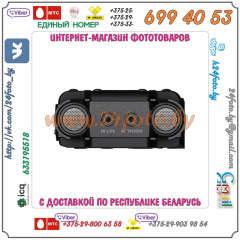 Портативный рекордер TASCAM DR-100