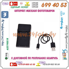 Зарядное устройство для аккумулятора NP-BG1, NP-BD1, NP-FE1, NP-FT1, NP-FG1 (USB)
