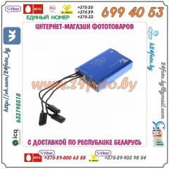 Сетевое зарядное устройство для аккумуляторов DJI Mavic 2 Pro/ZOOM 3850mAh 15.4V