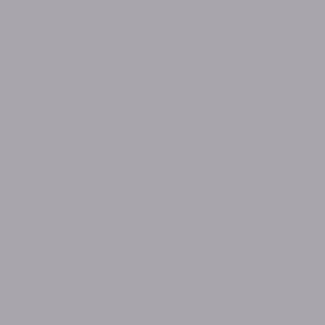Фон бумажный FST 2.72×11м 1005 GREY (серый)