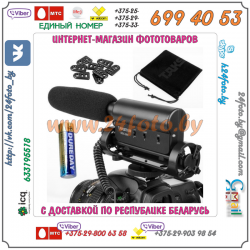 Внешний стереомикрофон TakStar SGС-598 Condenser