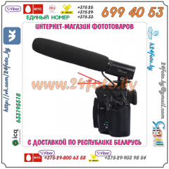 Внешний стереомикрофон iShoot PL-MIC01
