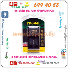 Зарядное устройство ТРОФИ Charger plus TR-600 для Ni-MH аккумуляторов типа AA, AAA (LR-6, LR-3)