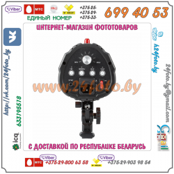 Студийная вспышка Godox Smart 250SDI